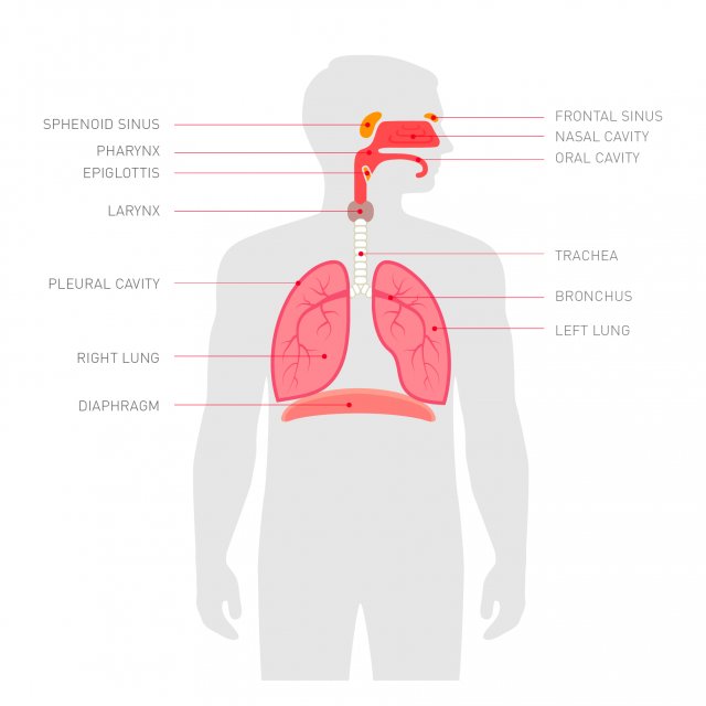 How To Breathe While Running A Step By Step Guide Polar Blog