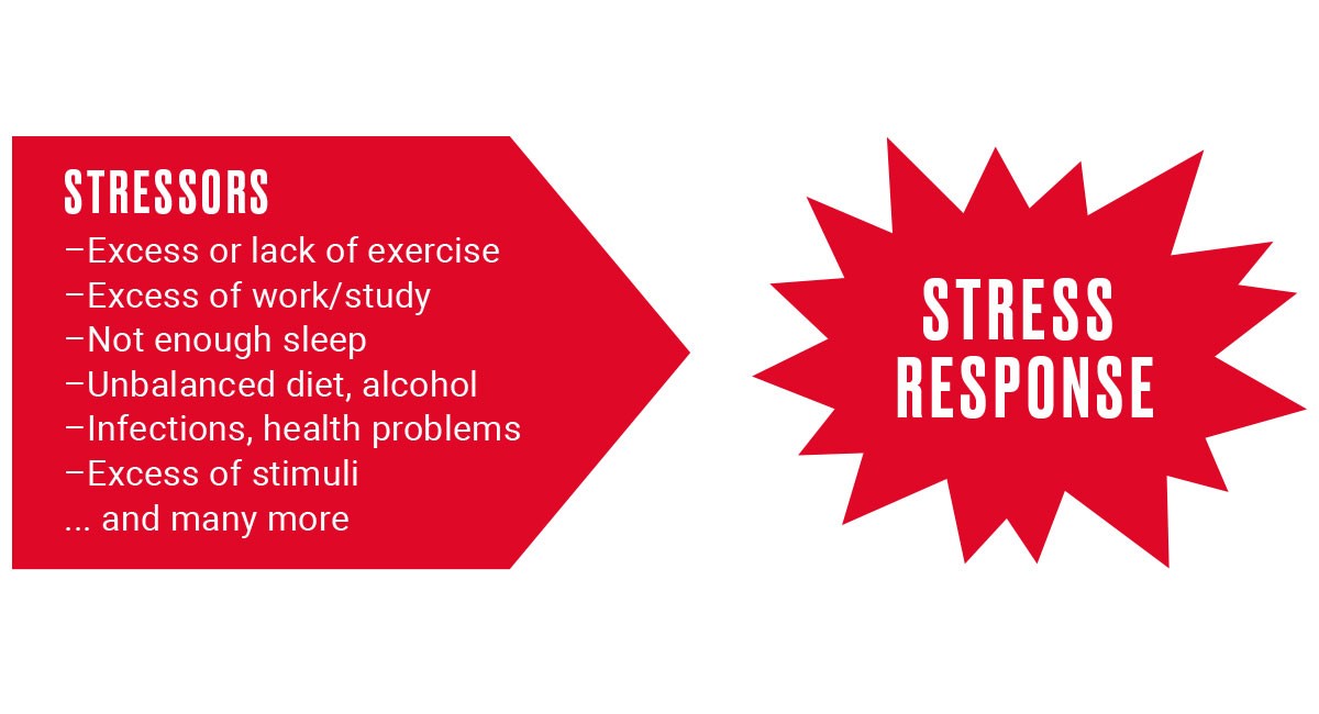 Recovery From Exercise – What's Stress To Do With It? | Polar Journal